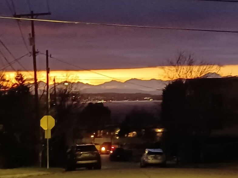 View from street - 4719 SW Findlay St
