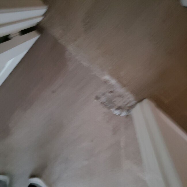 Building Photo - BEAUTIFUL ROSETTA CANYON 45014 Anabel Lane Lake Elsinore