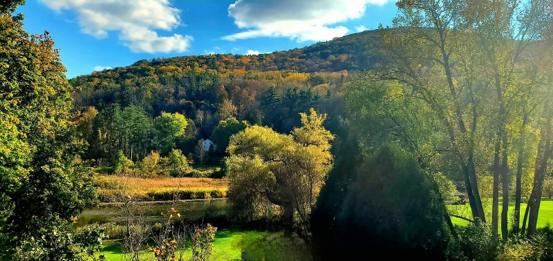 Building Photo - 1535 Pleasant St