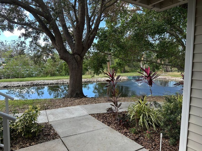 Building Photo - SEASONAL RENTAL - Downtown Sarasota Renova...