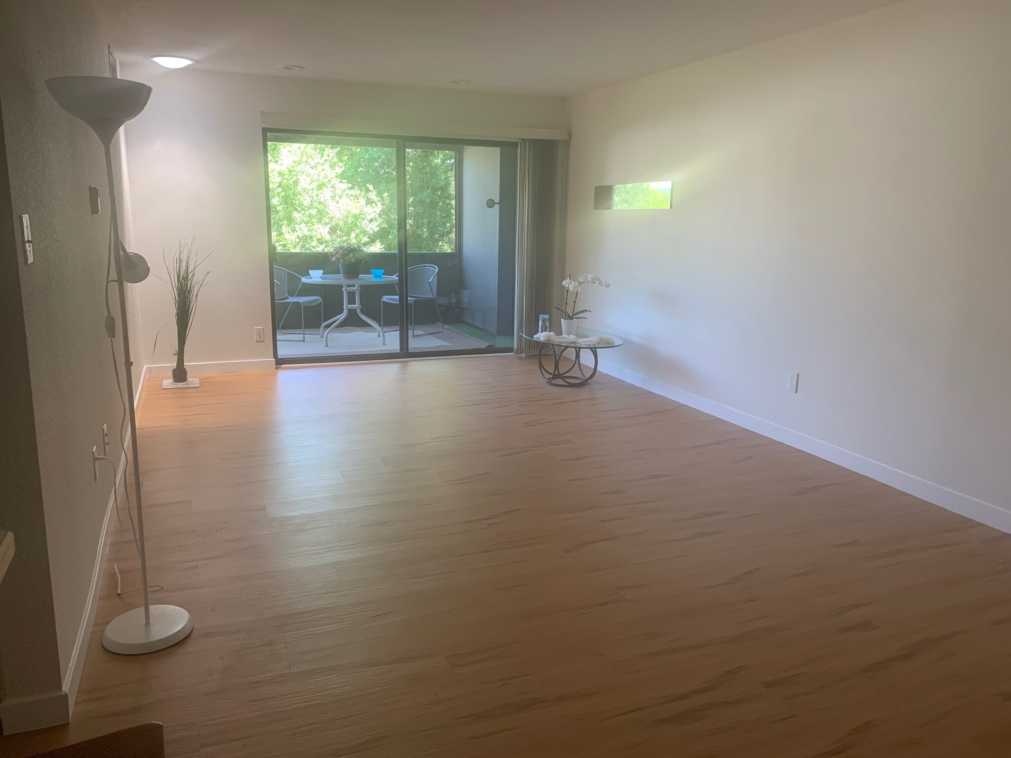 All natural LIGHT, solar tube, tree top reflection and patio doors - 2227 Canyon Blvd