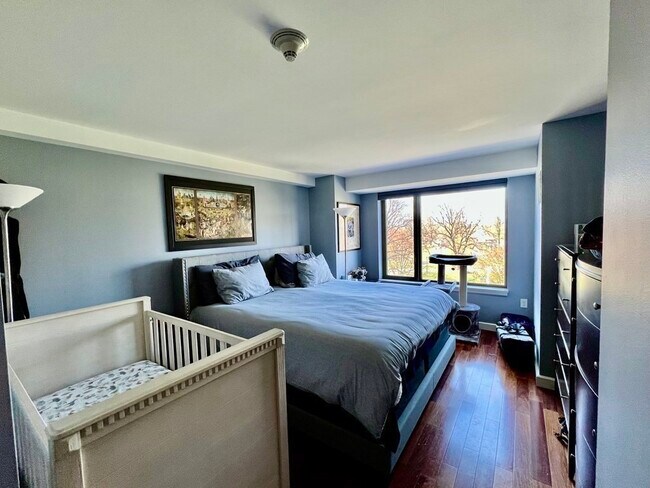 Building Photo - 165 Tremont St