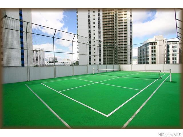 Tennis court - 469 Ena Rd