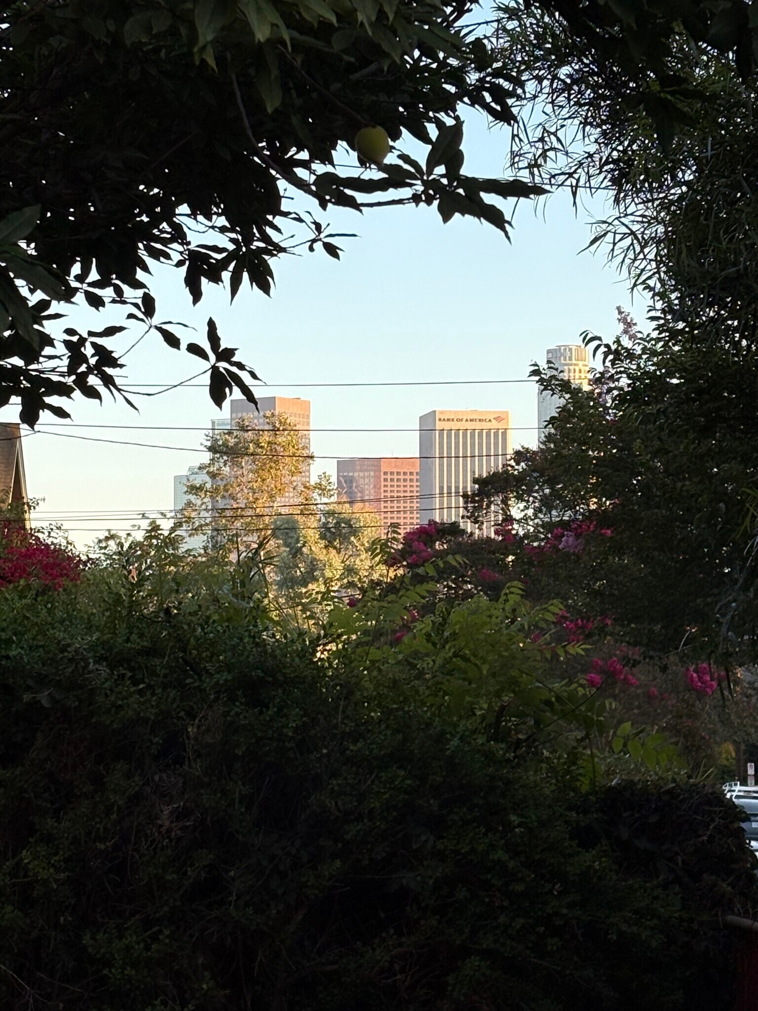 View of downtown L.A. from the apt - 782 E Kensington Rd