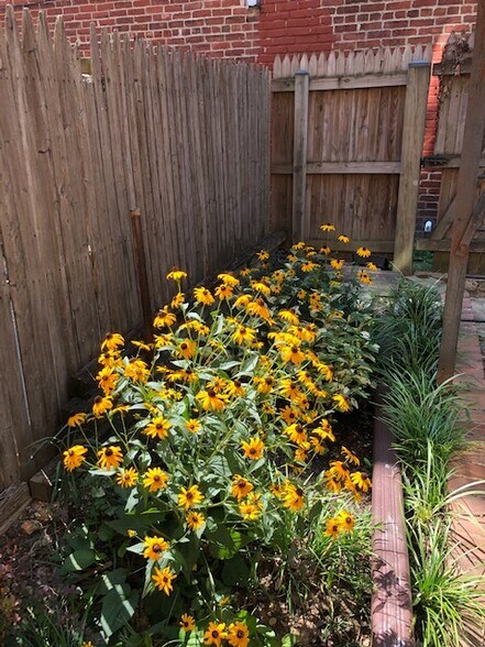 Private Garden - 1308 Fairmont St NW