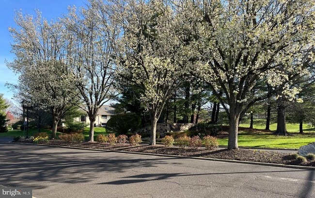 Building Photo - 204 Clover Hill Ct