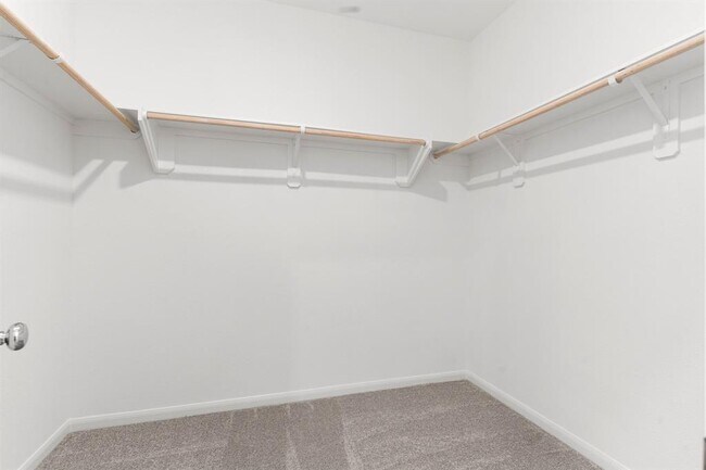Building Photo - 2723 Serene Palace Ct