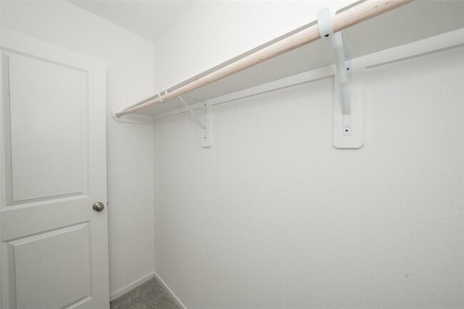 Building Photo - 6602 Tricolor Beech Ln