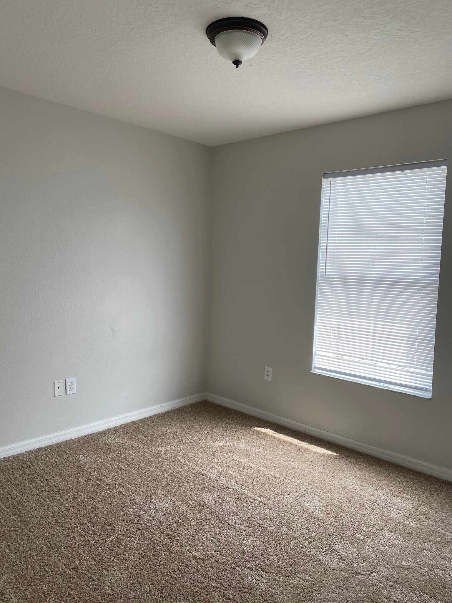 Building Photo - 7954 Carriage Pointe Dr