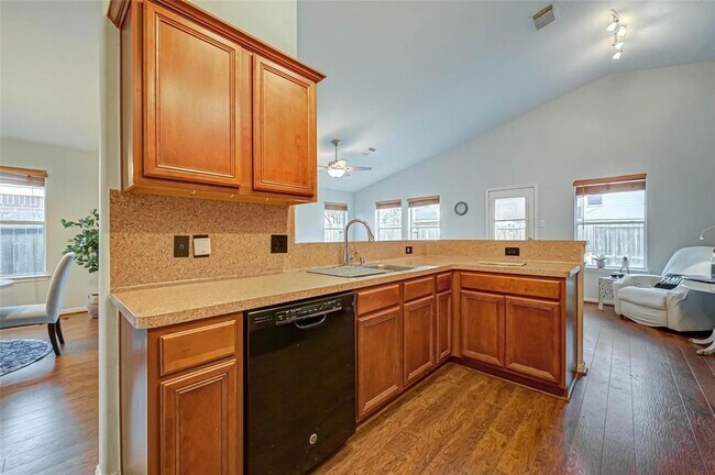 Building Photo - 25234 Spring Iris Ln