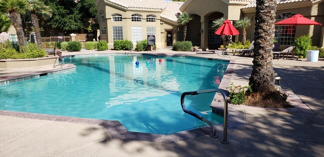 Swimming Pool - 5335 E Shea Blvd