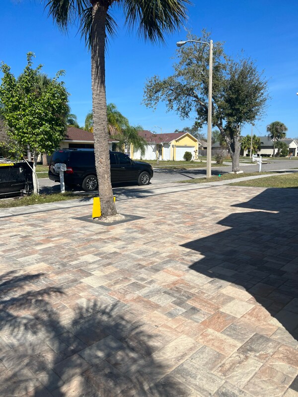 Building Photo - 2522 Albaca Dr