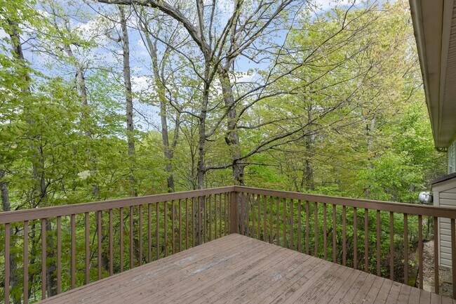 Building Photo - 1703 Cottontail Dr