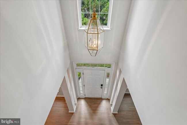 Building Photo - 905 Royal Elm Ct