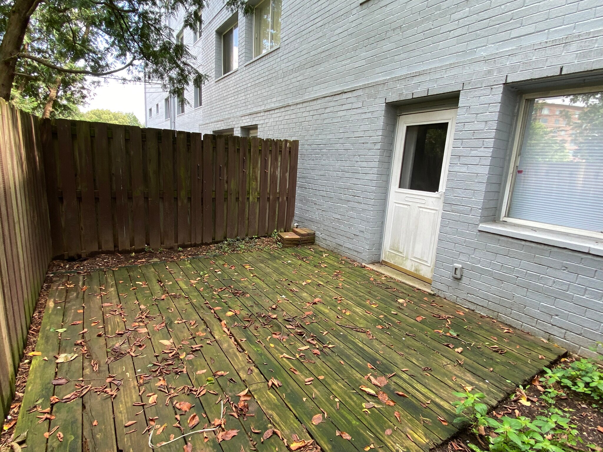 Back patio - 3601 5th St S