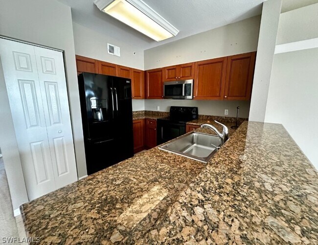 10127 Villagio Palms Way 10127 Villagio Palms Way Estero FL 33928