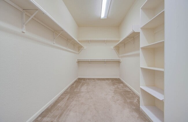 Building Photo - 11704 Shoal Landing St