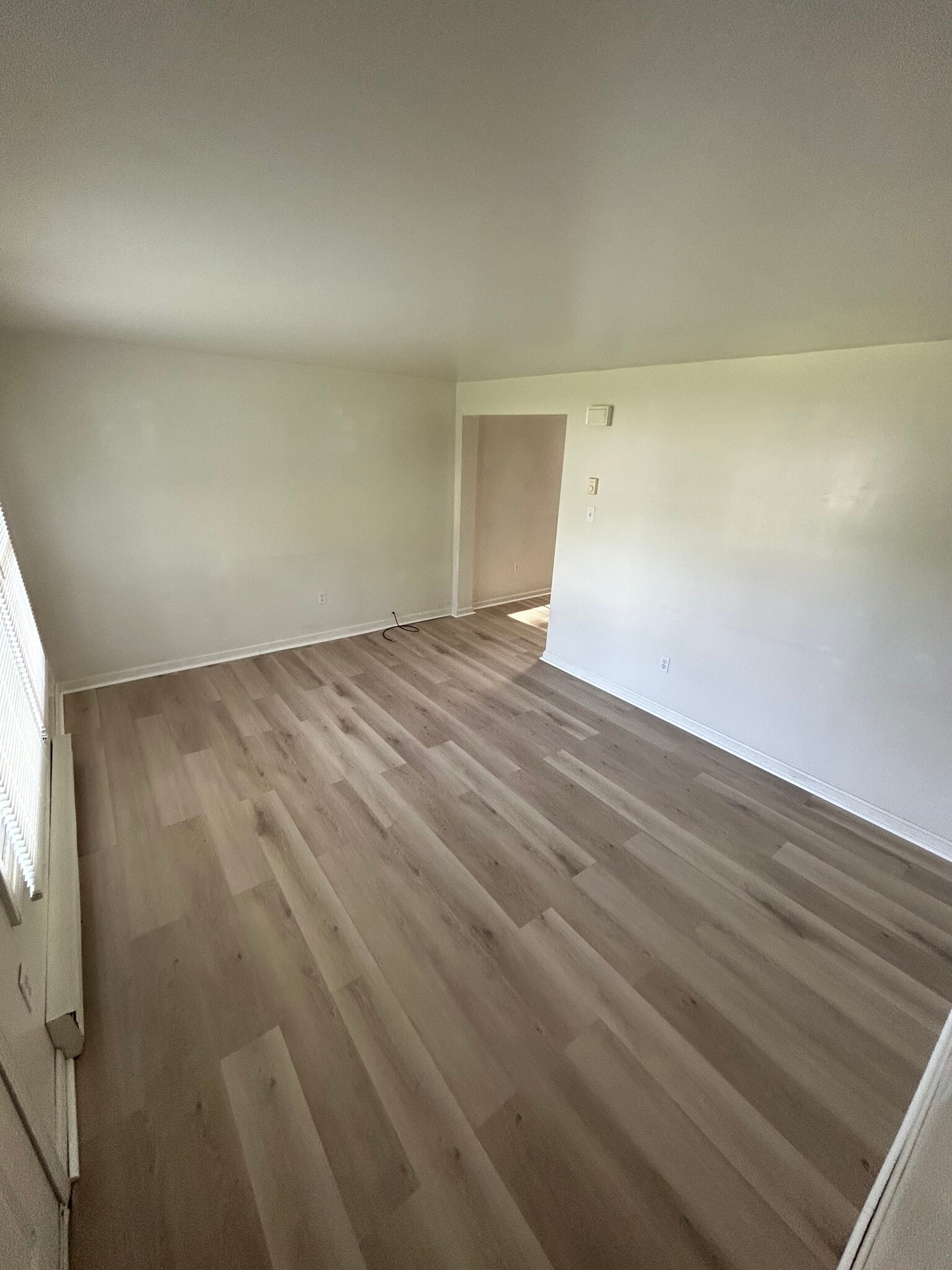 Living room - 209 Endwell St