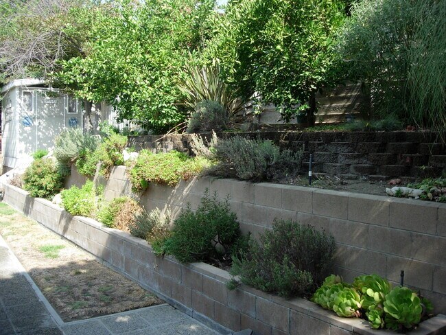 Back yard - 10750 Spyglass Dr