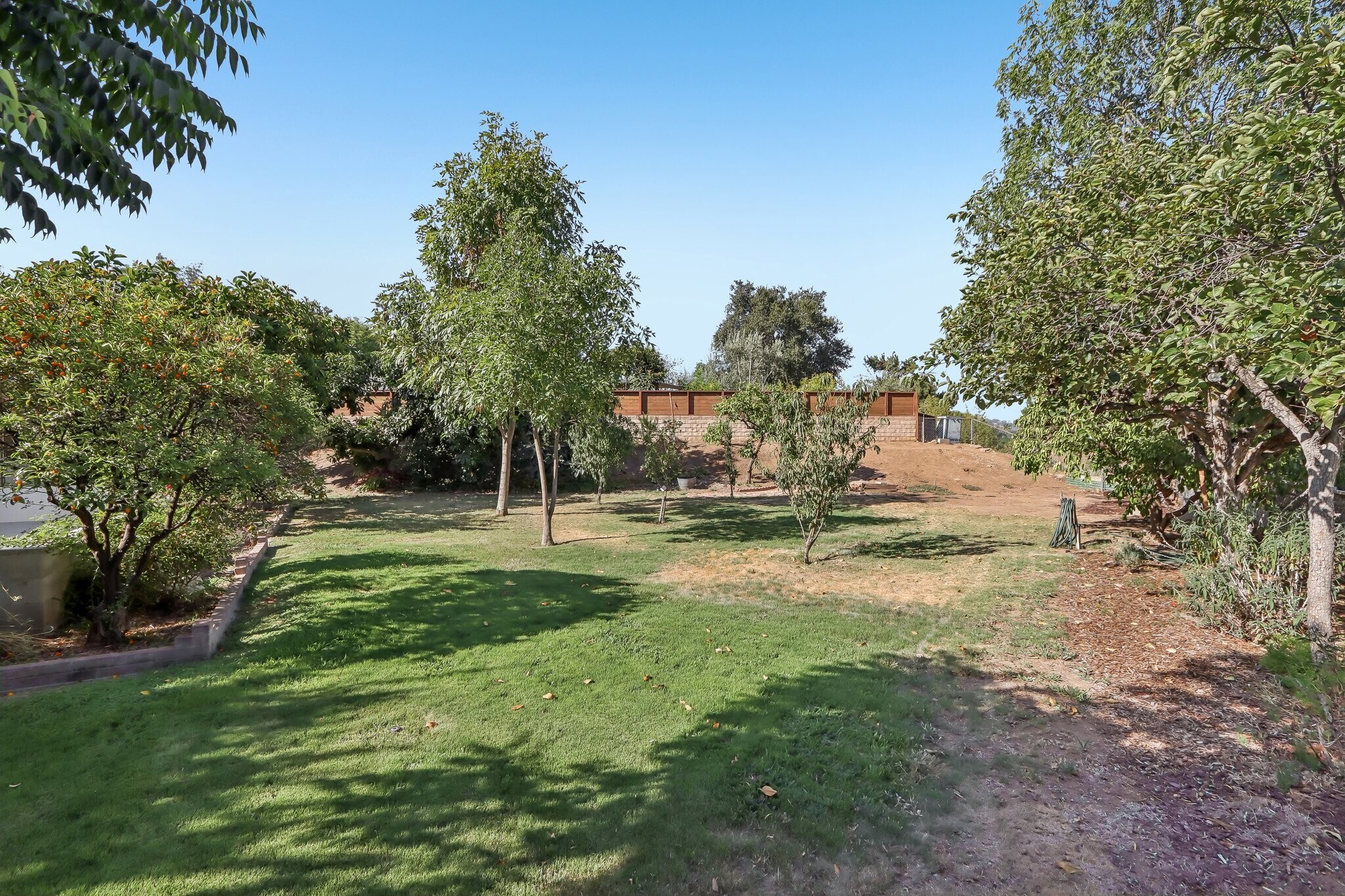 Building Photo - 1184 Lyndhurst Dr