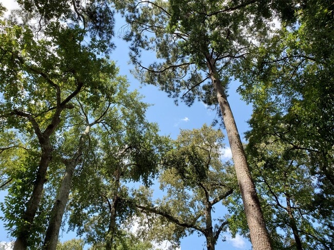 Building Photo - 705 Alabama St