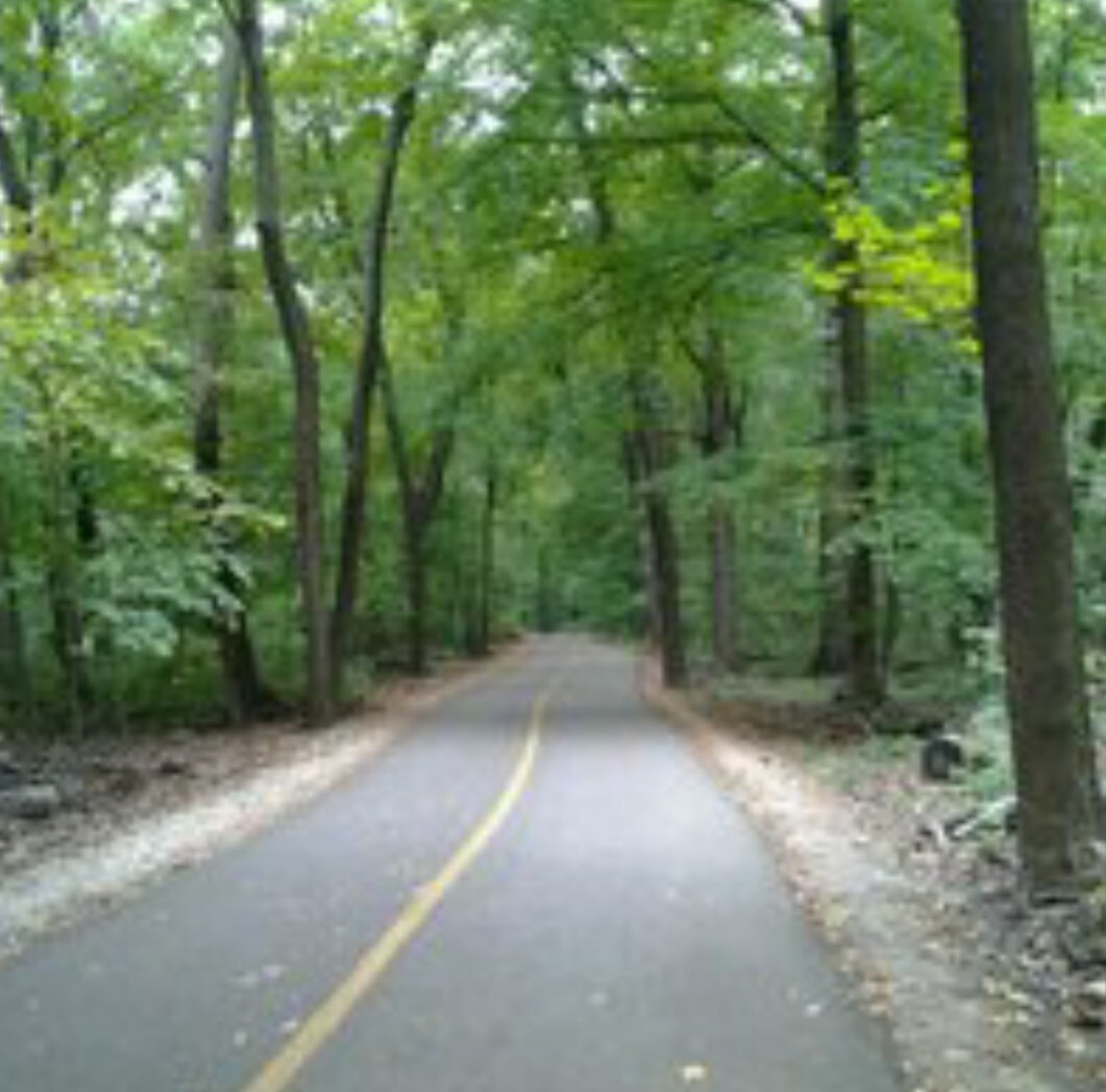 Walk or bike the nearby trails - 6116 N Meade Ave
