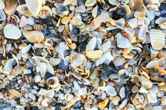 Building Photo - 1630 Pine St