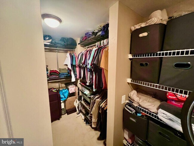 Building Photo - 1117 10th St NW