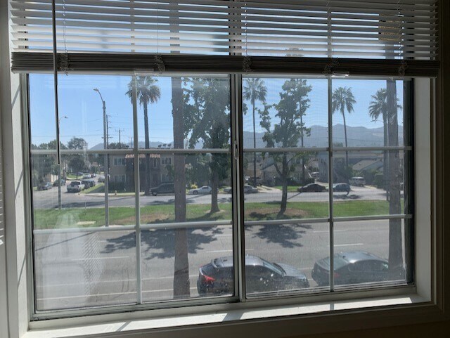 View of Hollywood hills from Family room - 803 W Glenoaks Blvd
