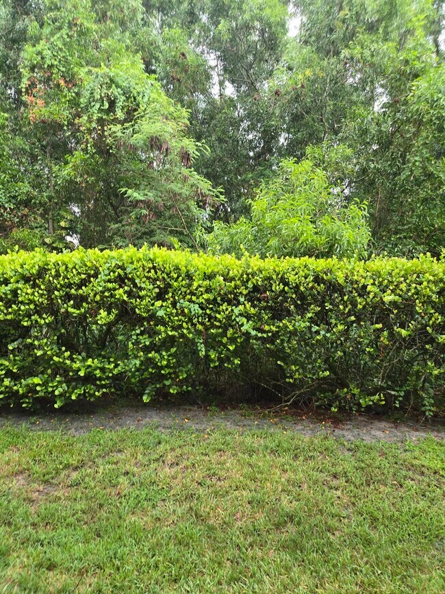Building Photo - 4675 Palmbrooke Cir