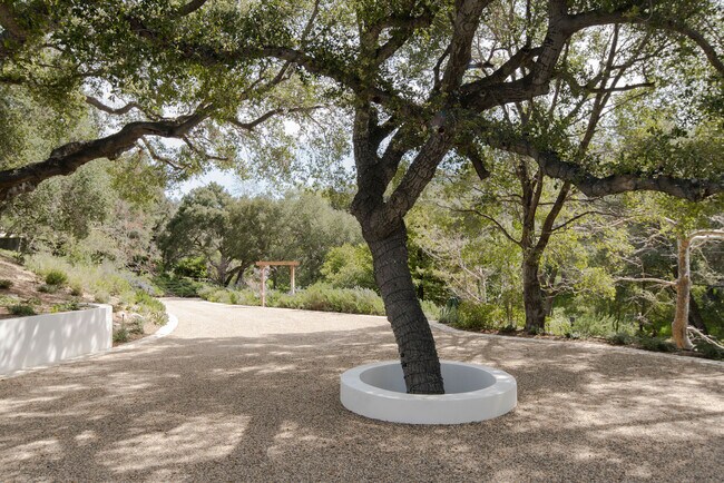 Building Photo - 901 Crater Camp Dr