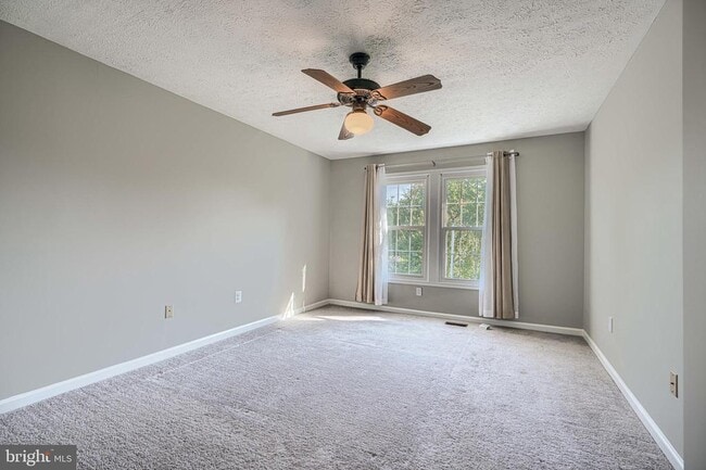 Building Photo - 8301 Whitebark Ct