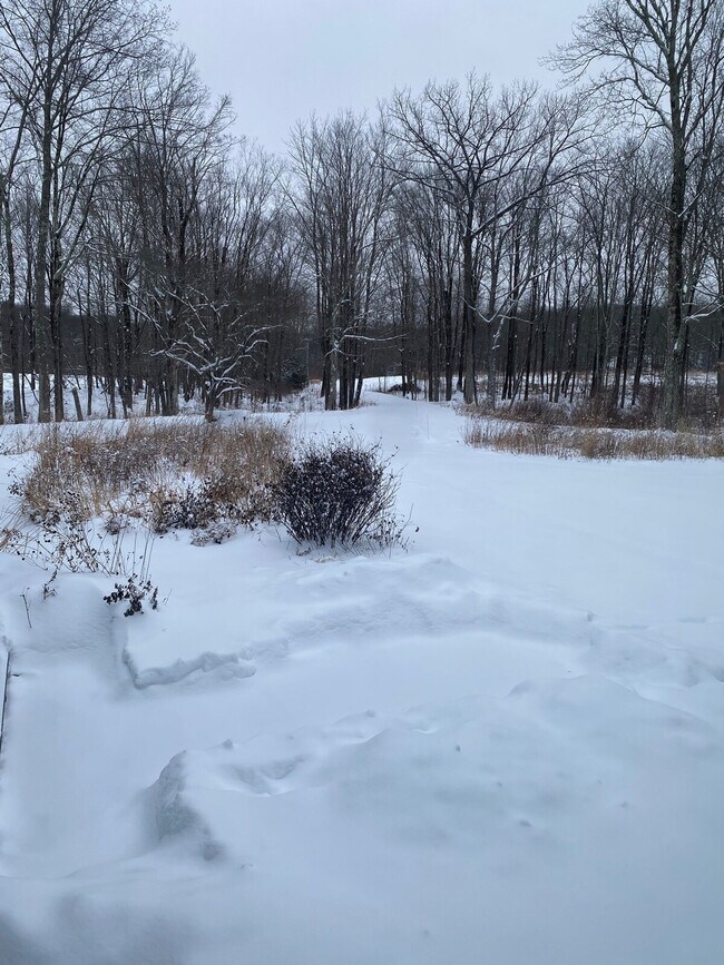 Building Photo - 296 Brick School Rd