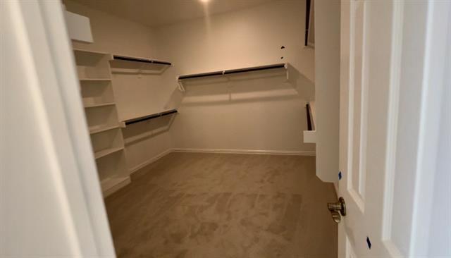 Building Photo - 1821 Ordonez Dr
