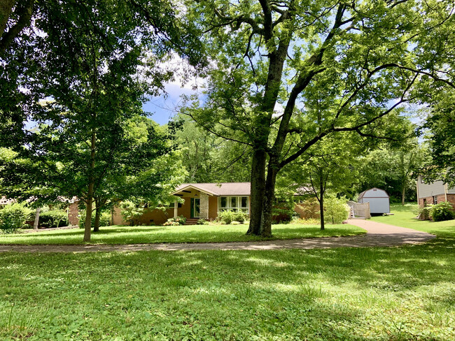 Park-like yard with mature trees - 604 Joyce Ln