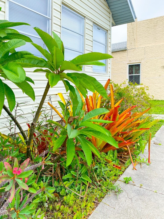 Building Photo - 1802 Tangerine St