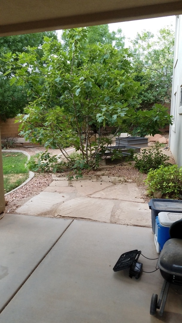 Building Photo - Beautiful Home in The Boulders
