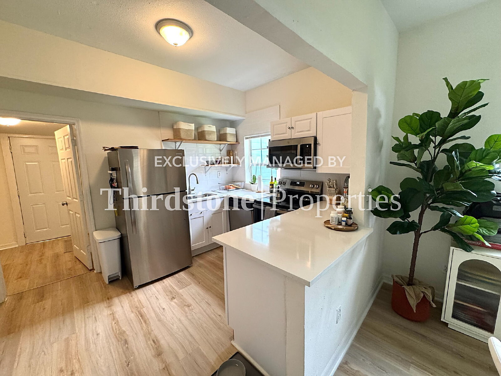 Building Photo - 672 Chestnut St