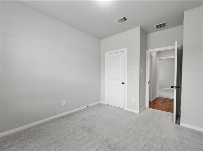 Building Photo - 311 Fanpalm Ct