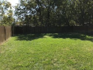 Back Yard - 4602 Sterling St