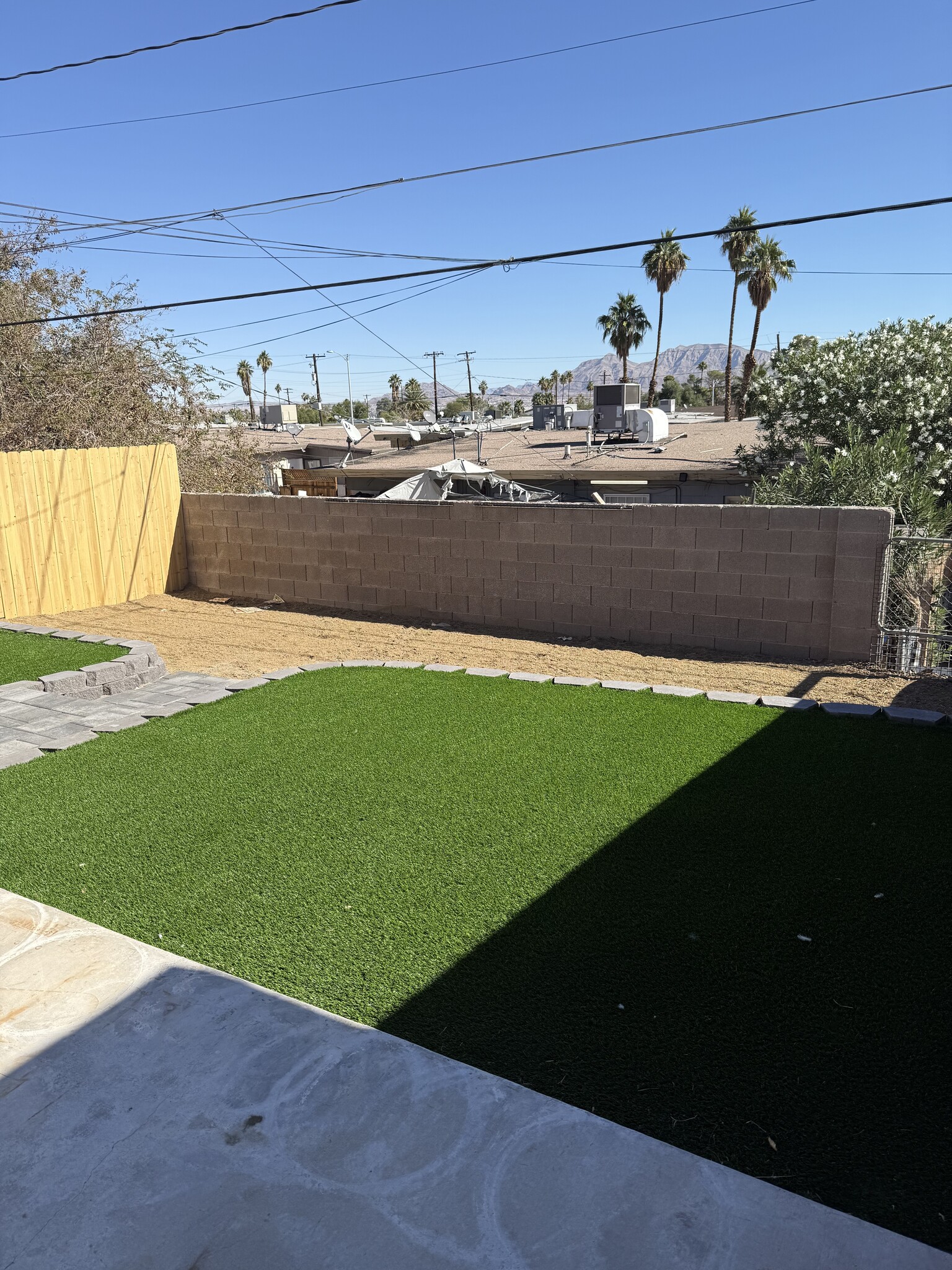 backyard3 - 2307 Pardee Pl