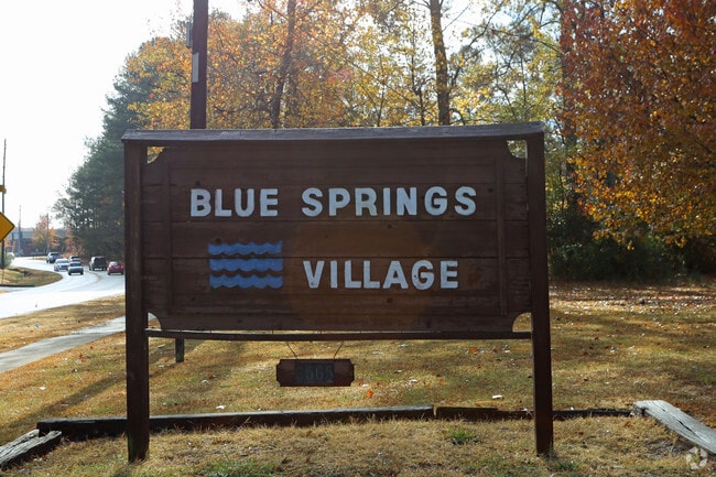 Primary Photo - Blue Springs Village