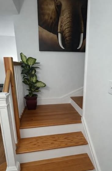 Building Photo - 59 Morris St