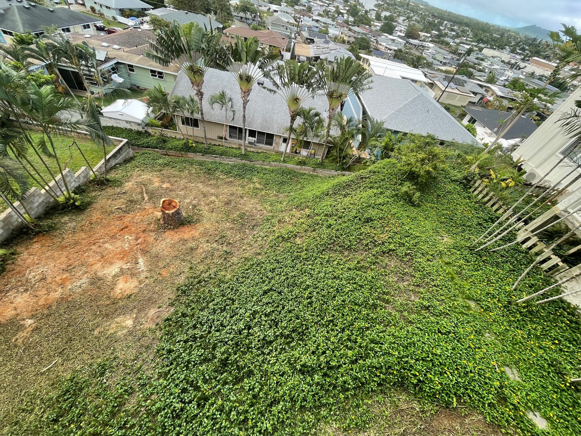 Building Photo - 1326 Aupapaohe St