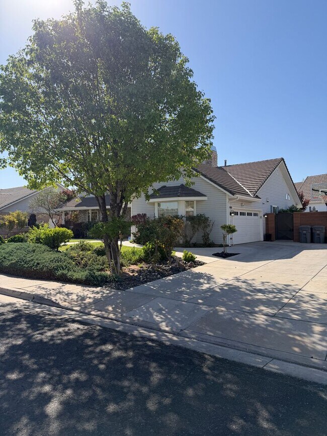 Building Photo - Beautiful 4 bedroom, 3 bathroom Home with a pool!!