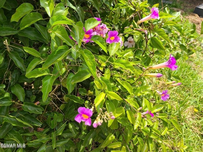 Building Photo - 1404 Suffolk Ave