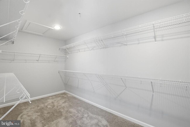 Building Photo - 3815 Richmond Run