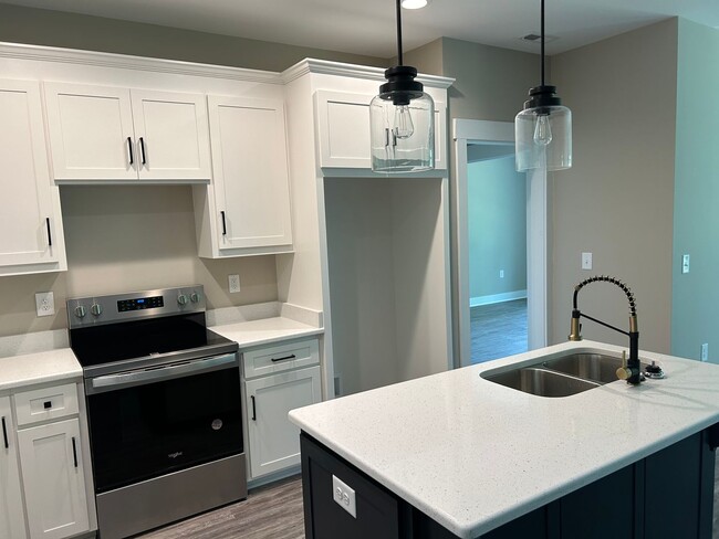 Building Photo - Stunning New Build 3 bedroom 2.5 Bath Home...