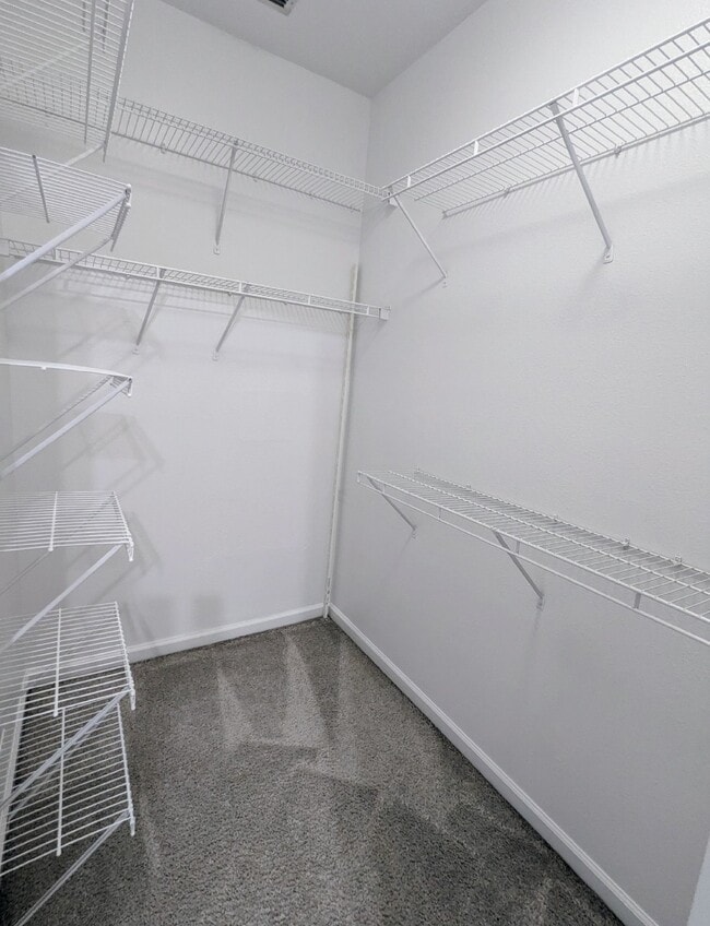 Building Photo - "Beautiful Move-In Ready 3/2 Condo near Town Center & UNF - Don't Miss This Opportunity!"