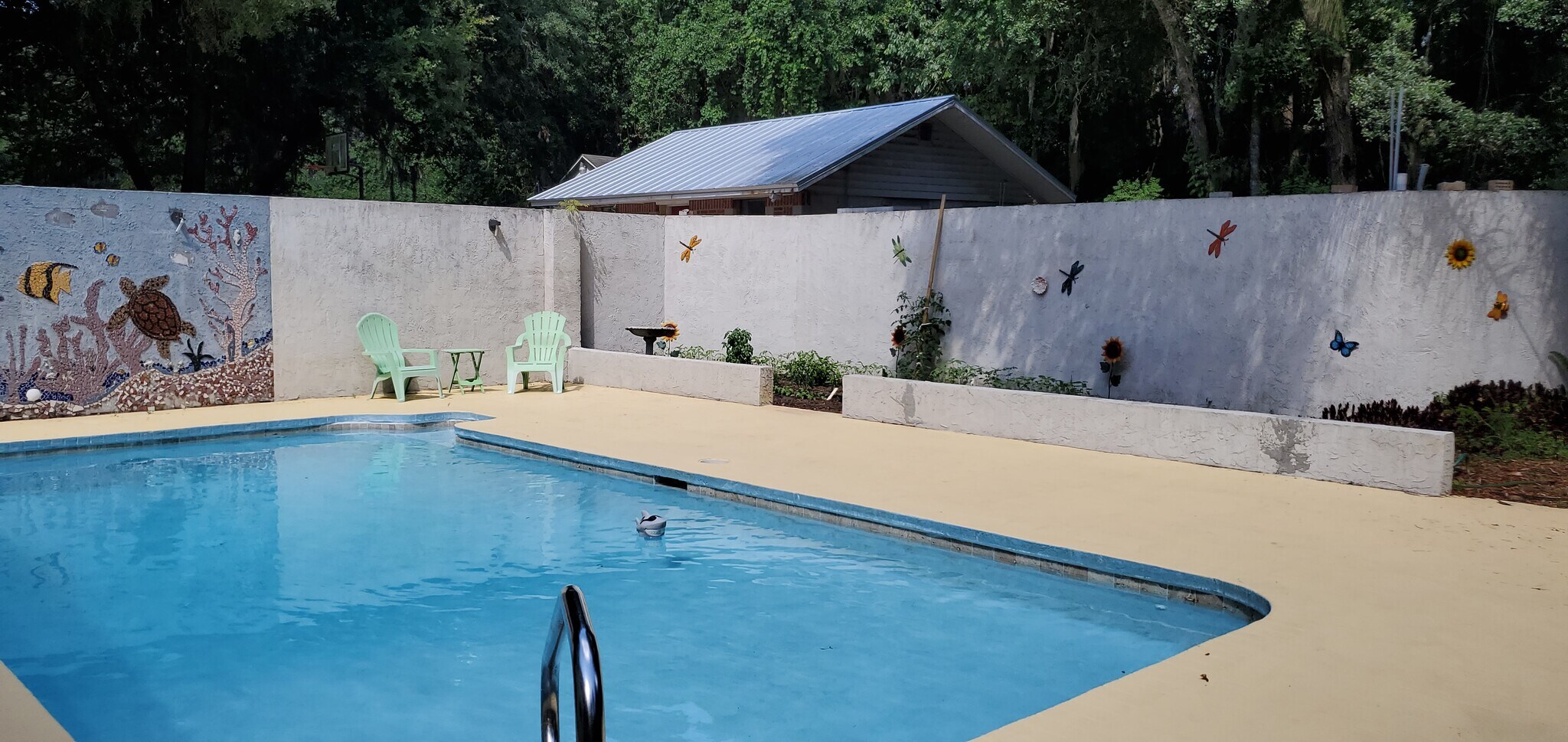 garden beside the pool started - 6542 Sherry Ln